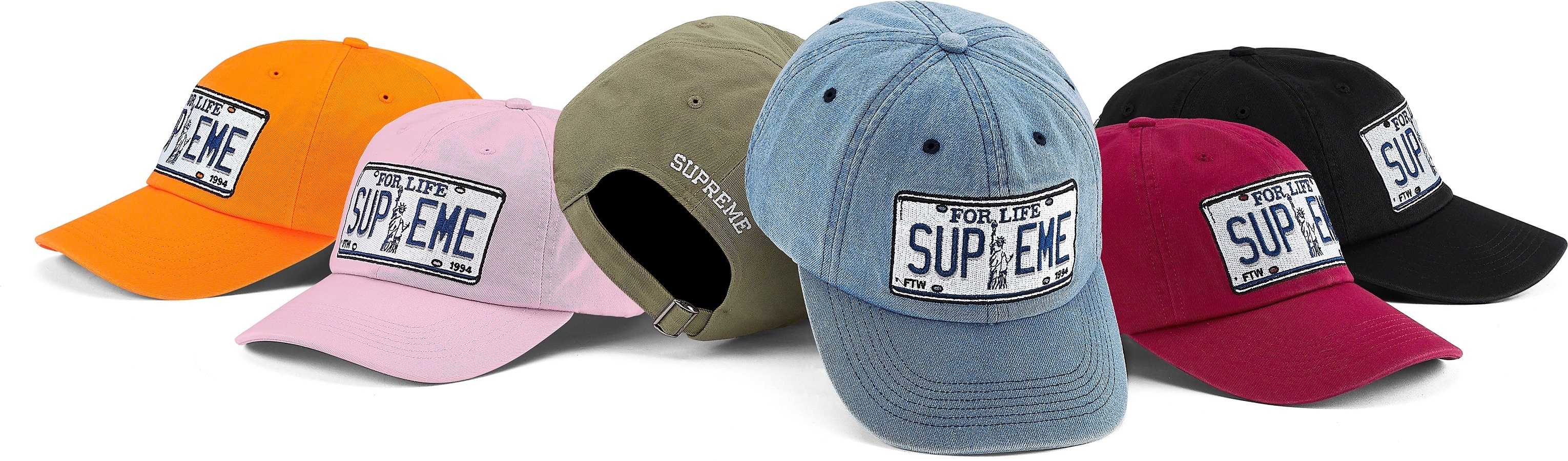 License Plate 6-Panel